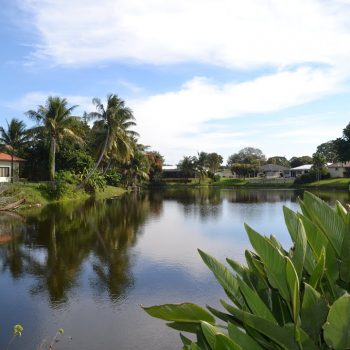 Lake Floresta